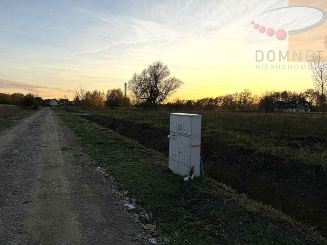 Działka Sprzedaż Domaniew 5