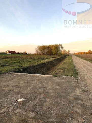 Działka Sprzedaż Domaniew 3